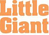 Little Giant Ladder