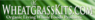 Wheatgrass Kits